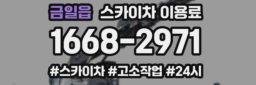 금일읍 스카이차 이용료