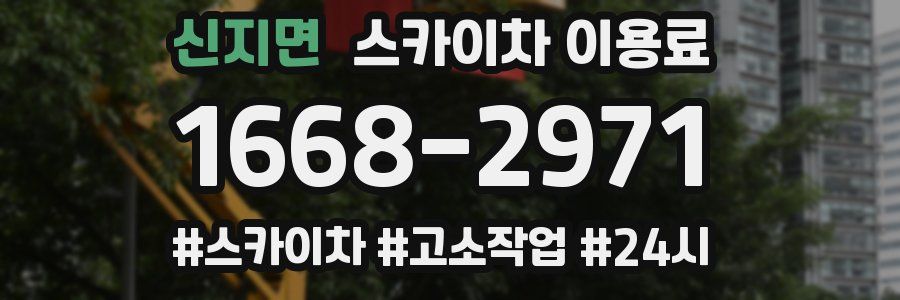 신지면 스카이차 이용료