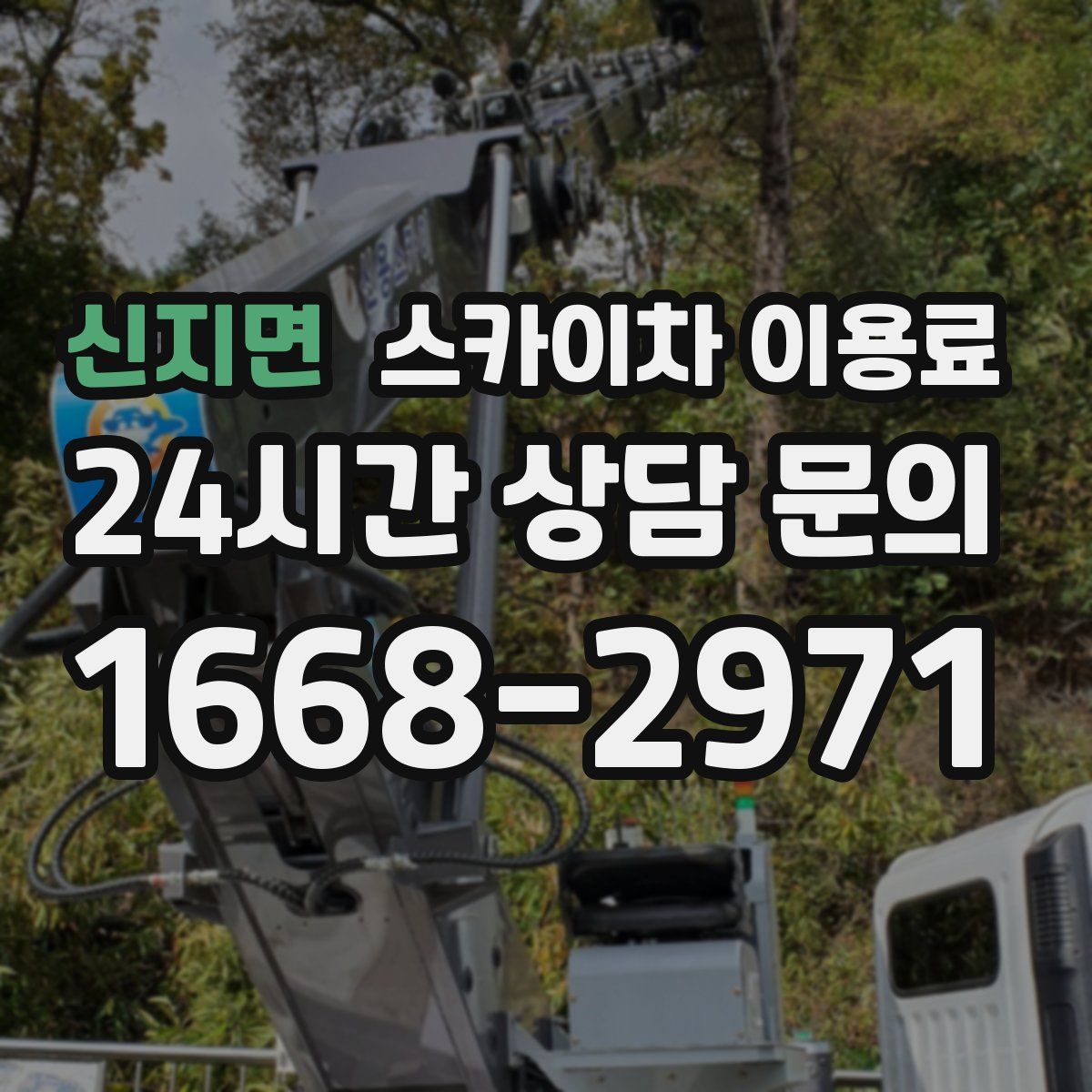 신지면 스카이차 이용료