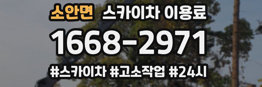 소안면 스카이차 이용료