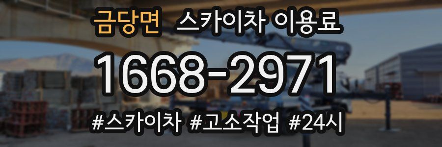 금당면 스카이차 이용료