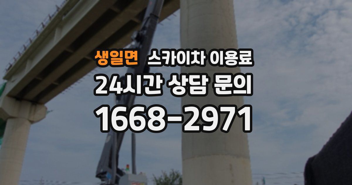 생일면 스카이차 이용료