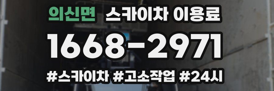의신면 스카이차 이용료