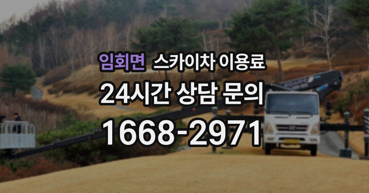 임회면 스카이차 이용료