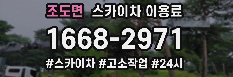 조도면 스카이차 이용료