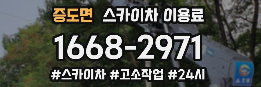증도면 스카이차 이용료