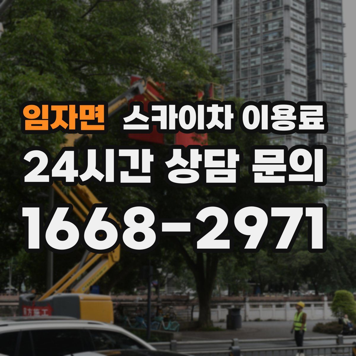 임자면 스카이차 이용료