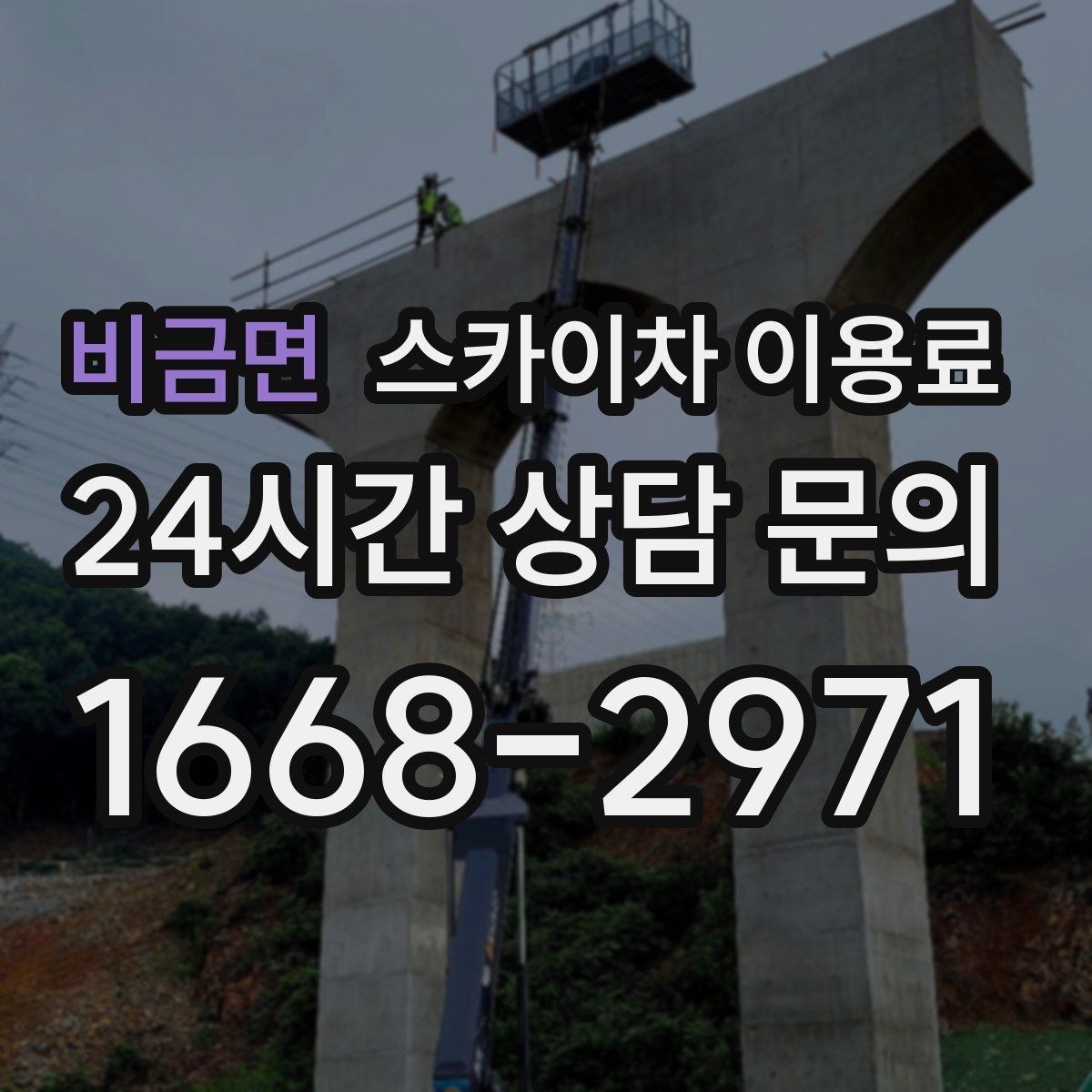 비금면 스카이차 이용료