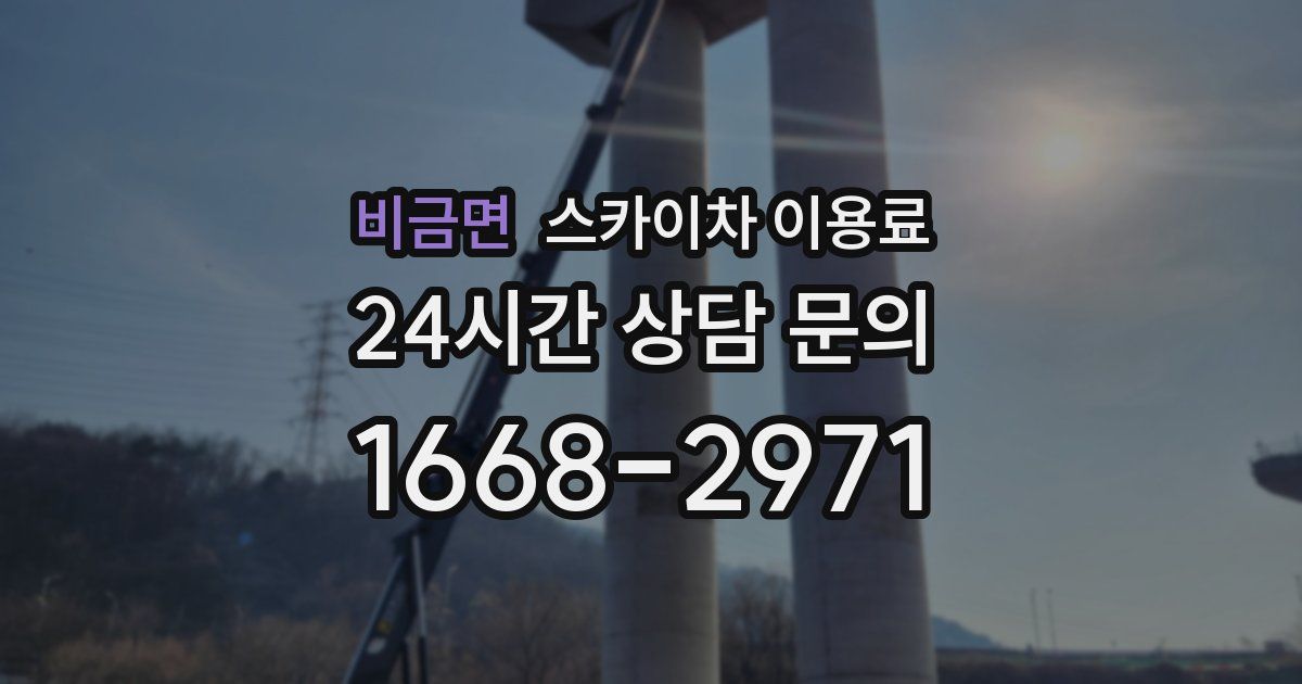 비금면 스카이차 이용료