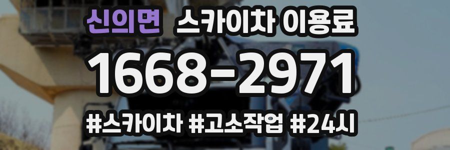 신의면 스카이차 이용료