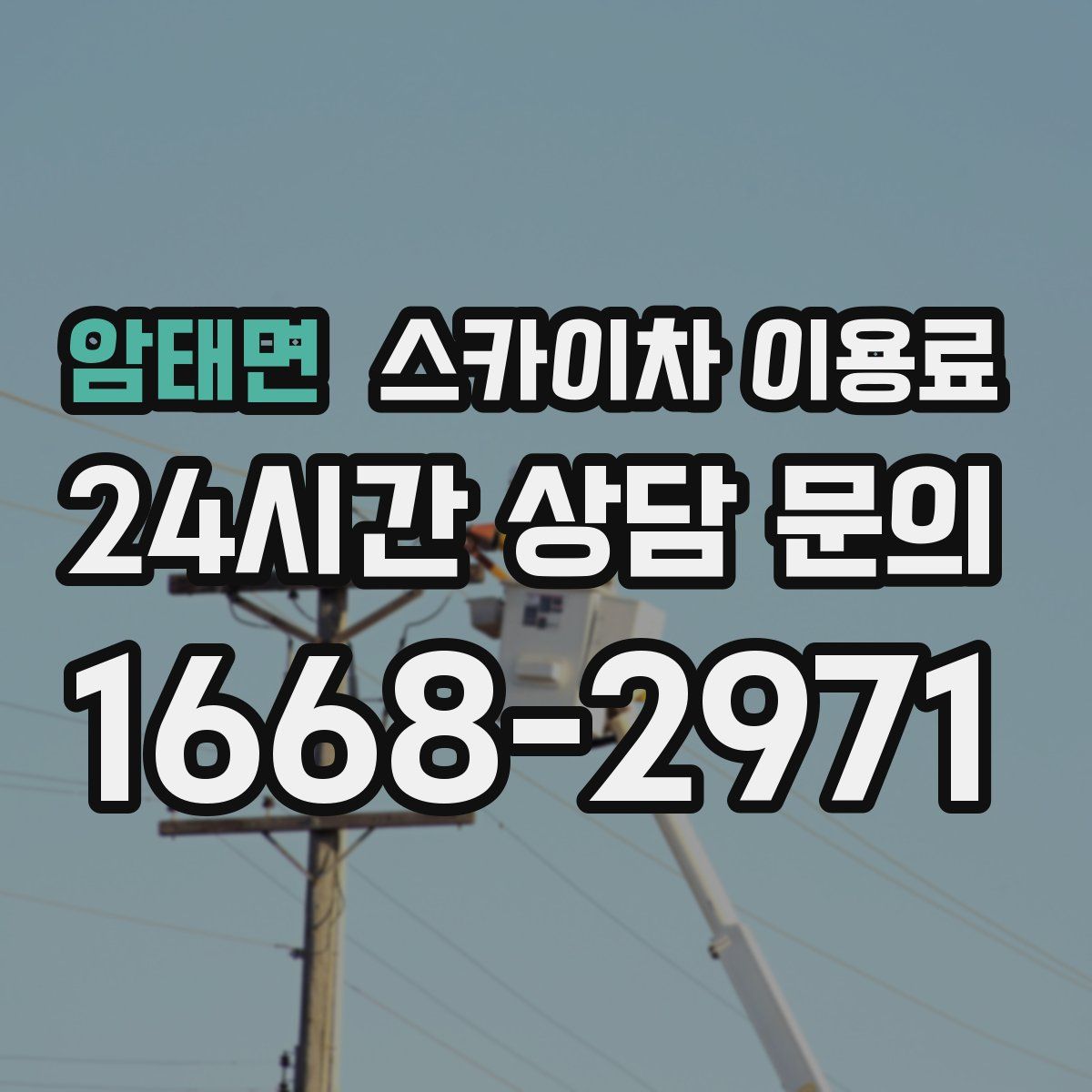 암태면 스카이차 이용료