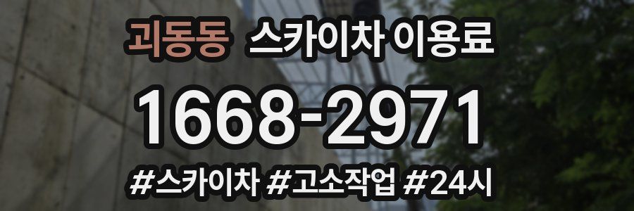 괴동동 스카이차 이용료