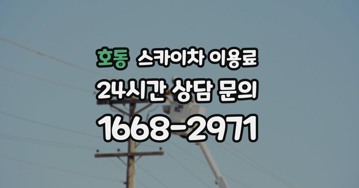 호동 스카이차 이용료