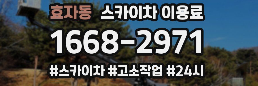 효자동 스카이차 이용료