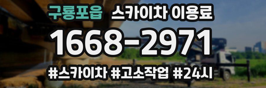 구룡포읍 스카이차 이용료