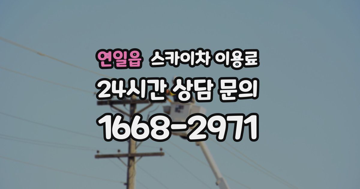 연일읍 스카이차 이용료