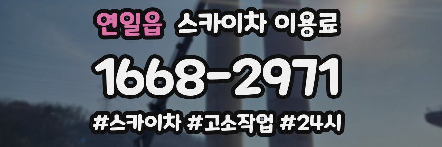연일읍 스카이차 이용료