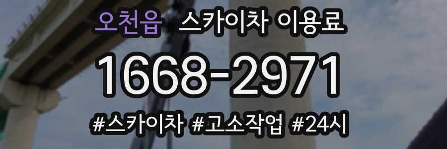 오천읍 스카이차 이용료