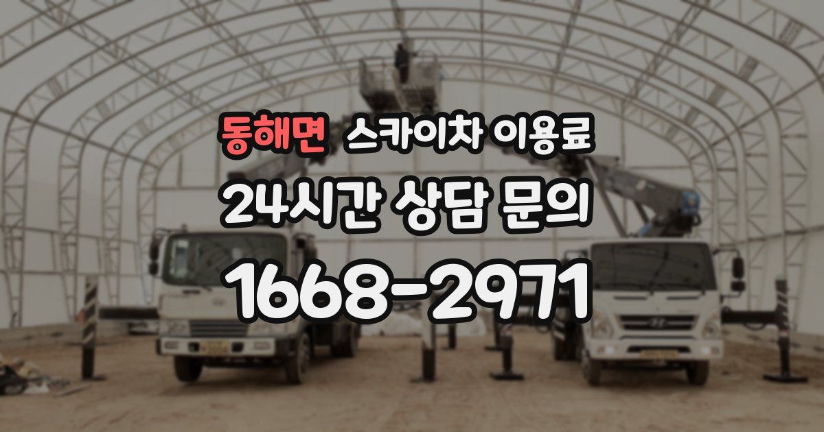 동해면 스카이차 이용료