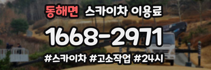 동해면 스카이차 이용료