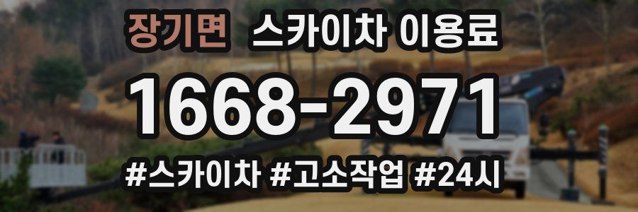 장기면 스카이차 이용료