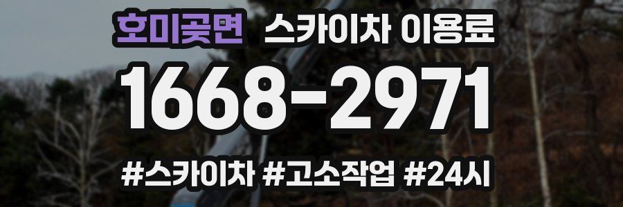 호미곶면 스카이차 이용료