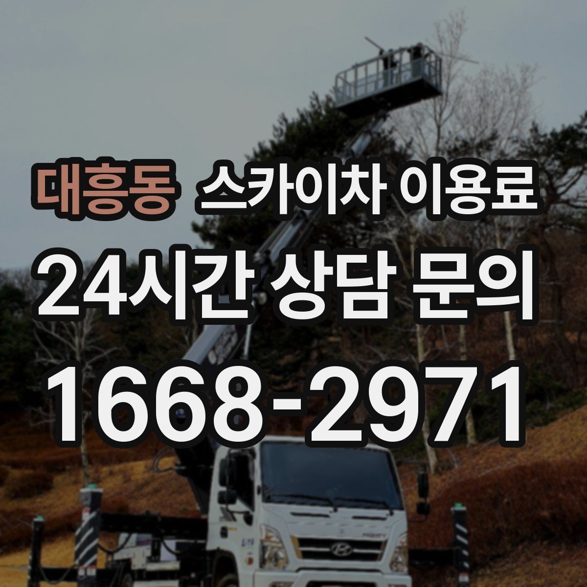대흥동 스카이차 이용료