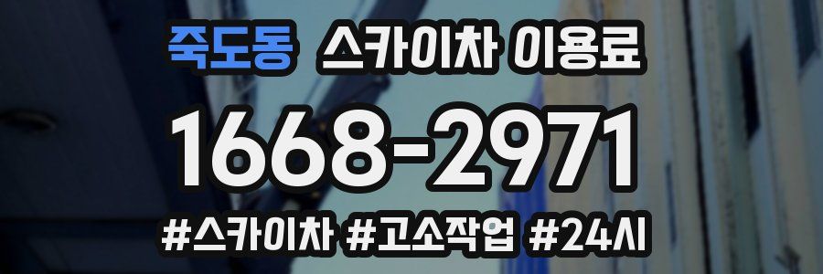 죽도동 스카이차 이용료