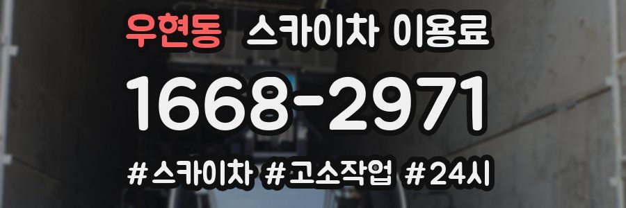 우현동 스카이차 이용료