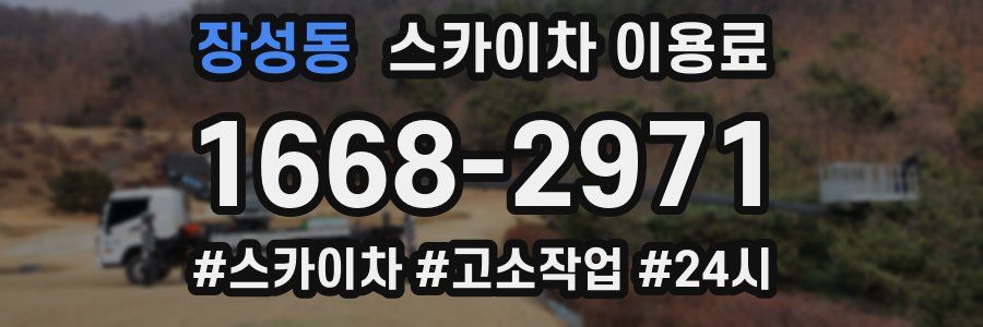장성동 스카이차 이용료