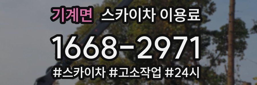 기계면 스카이차 이용료