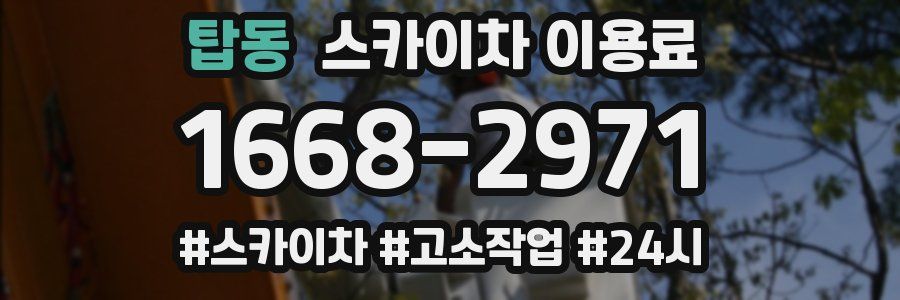 탑동 스카이차 이용료