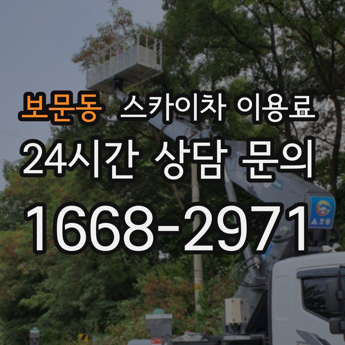 보문동 스카이차 이용료 확인 전 작업 목적을 먼저 정리해야 하는 이유