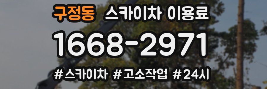 구정동 스카이차 이용료