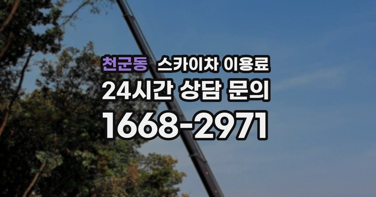 천군동 스카이차 이용료