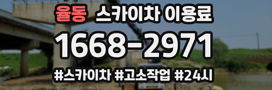 율동 스카이차 이용료