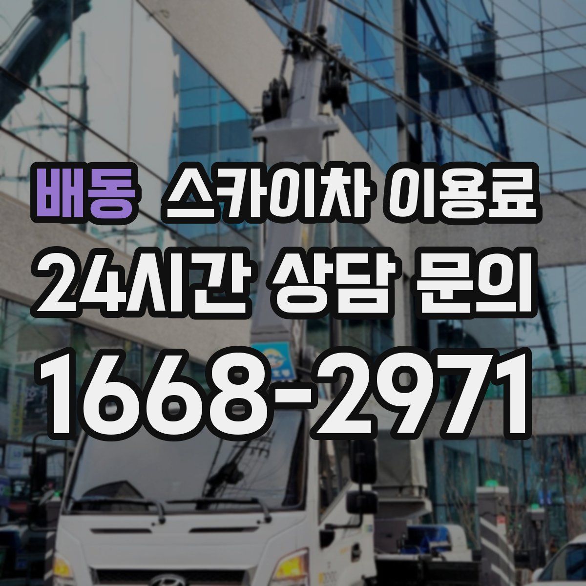 배동 스카이차 이용료