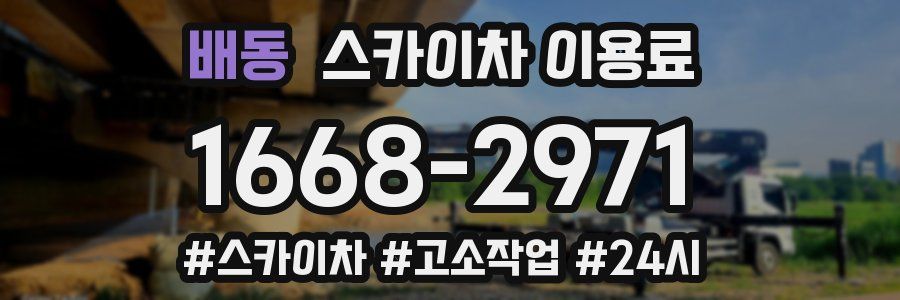 배동 스카이차 이용료