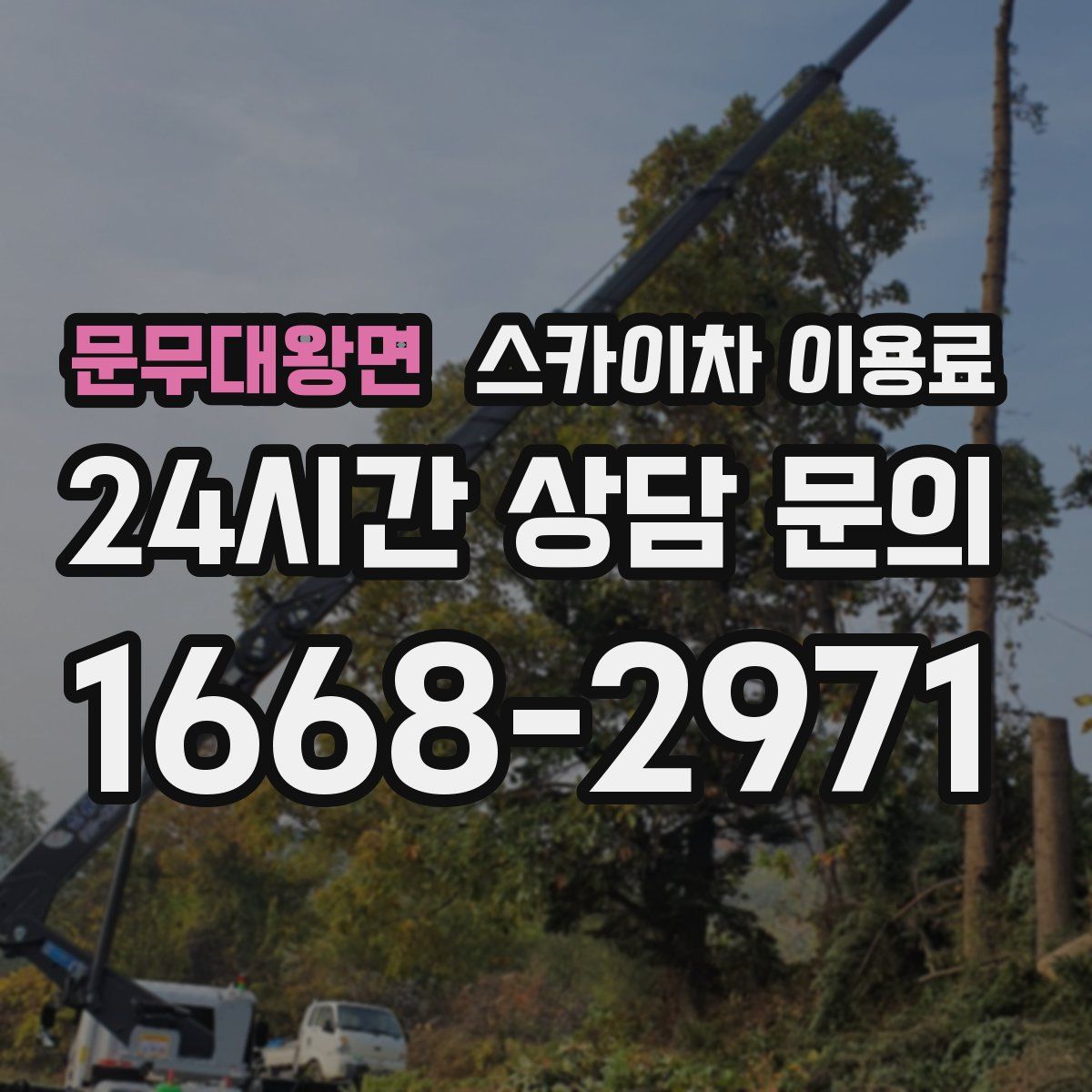문무대왕면 스카이차 이용료