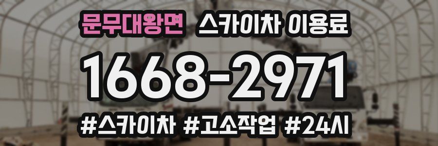 문무대왕면 스카이차 이용료