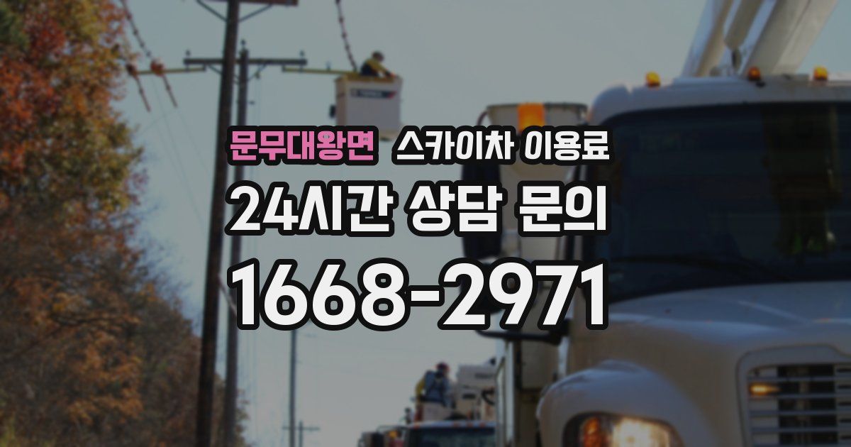 문무대왕면 스카이차 이용료