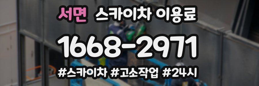 서면 스카이차 이용료