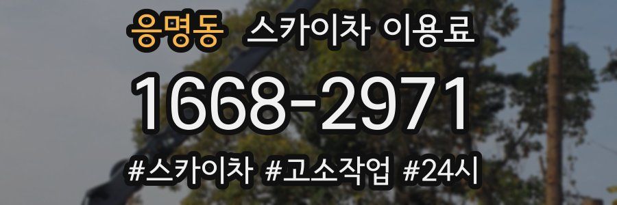 응명동 스카이차 이용료