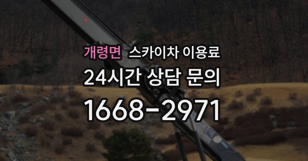 개령면 스카이차 이용료