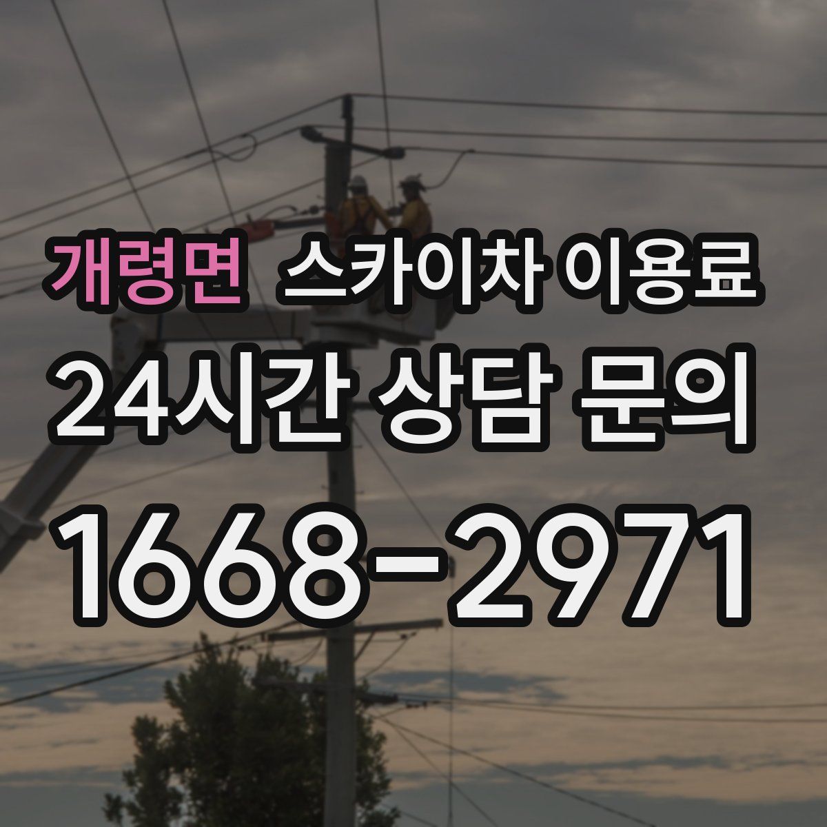 개령면 스카이차 이용료