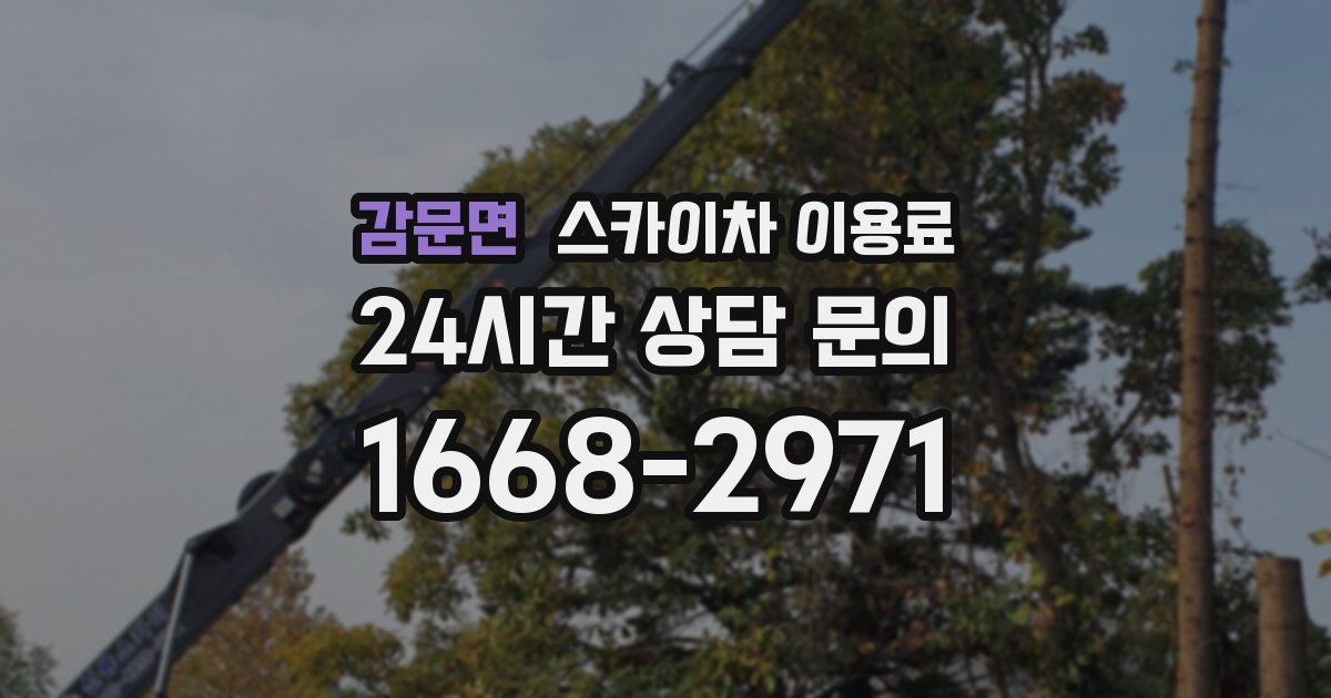 감문면 스카이차 이용료