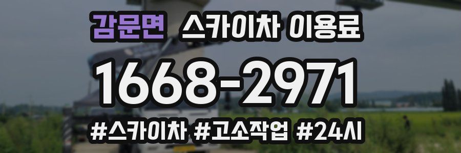 감문면 스카이차 이용료