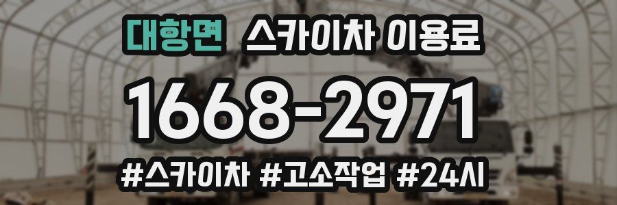 대항면 스카이차 이용료
