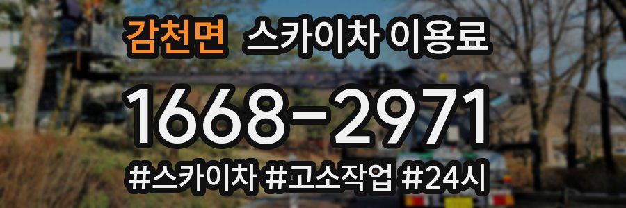 감천면 스카이차 이용료