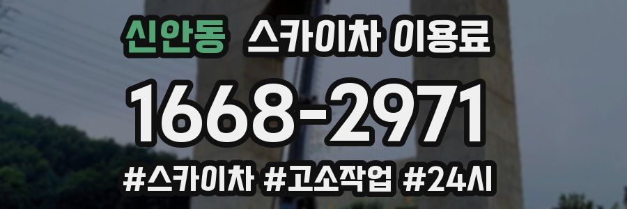 신안동 스카이차 이용료